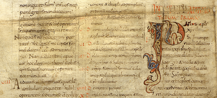 Banyoles_Arxiu Comarcal del Pla de l'Estany_Bible of Flavià_verso_detail